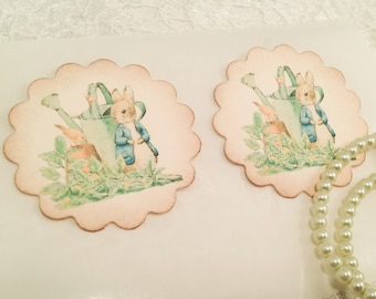 Peter Rabbit Stickers-Baby Shower Birthday Favor Stickers-Treat Bag Labels-Set of 12