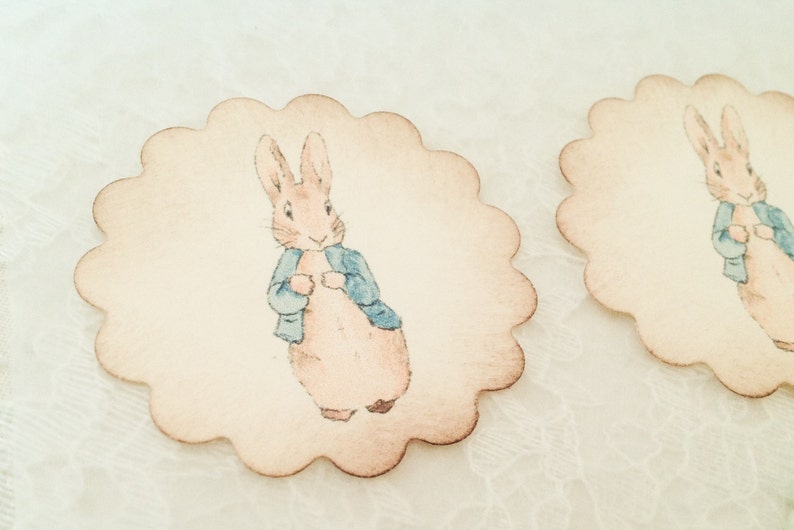 Peter Rabbit Stickers-Bunny Rabbit Birthday Favor Stickers-Treat Bag Stickers Labels-Set of 12