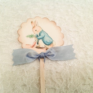Peter Rabbit Beatrix Potter Cupcake Pick Topper-Baby Shower Birthday Decorations Cake Toppers Picks-Set of 12