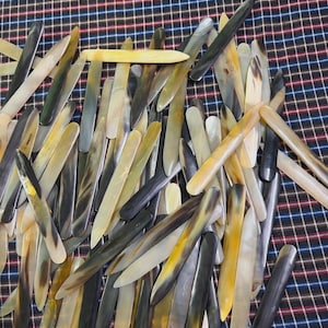 May include: A collection of numerous elongated, flat, and pointed objects made of polished horn material. These items feature a smooth, translucent finish with natural color variations ranging from creamy white and yellow to dark brown and black.