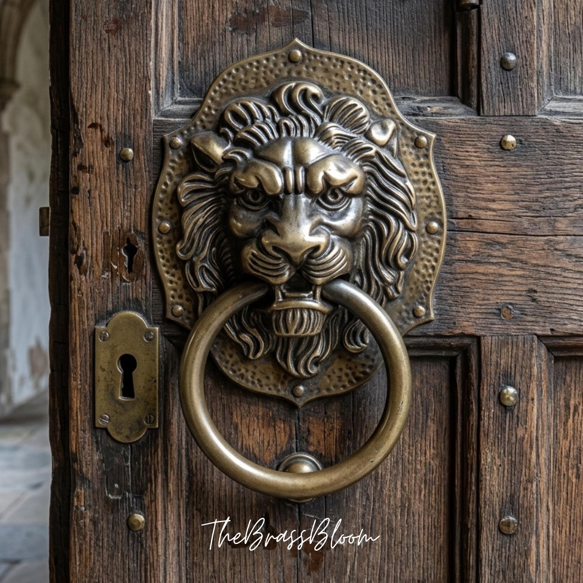 Lion door knocker - Etsy 日本