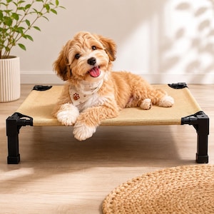 May include: A tan elevated pet cot with a black metal frame and a woven fabric surface. A light brown and white puppy with a cream-coloured bandana featuring small brown paw print patterns is lying on the cot, looking towards the camera.