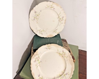 アンティーク ホーマー・ラフリン 花柄プレート 2枚セット クレイズドアイアンストーン コテージコア アメリカ製