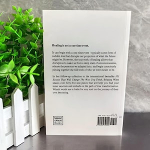 May include: A white book with the title "101 Essays That Will Change The Way You Think" by Brianna Wiest. The book's back cover features text about healing and transformation, with the Thought Catalog Books logo.