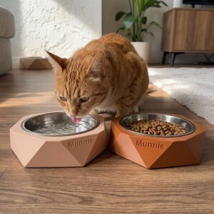 May include: An orange tabby cat laps water from a stainless steel bowl set in a peach-coloured, geometric pet bowl. A second bowl, filled with dry food, is in a matching brown colour. The word "Munnie" is printed on the front of each bowl.