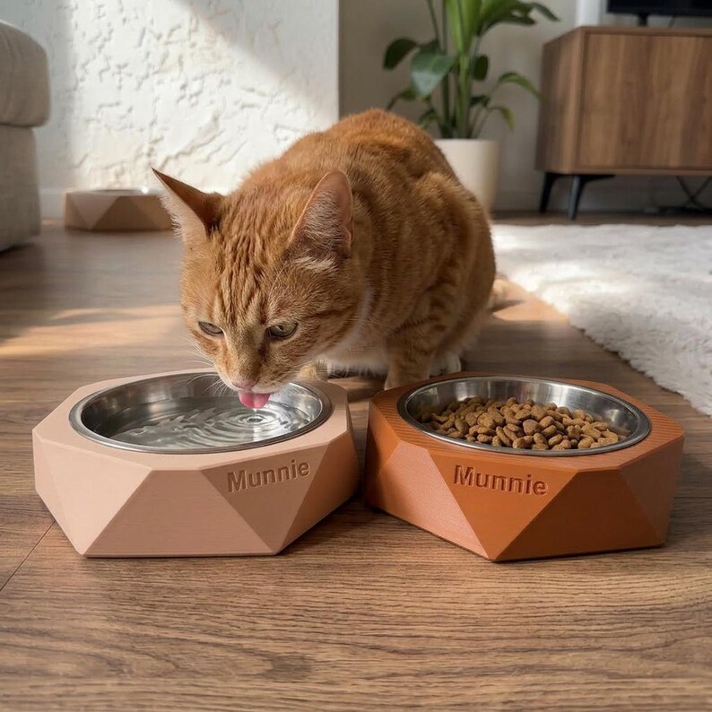May include: An orange tabby cat laps water from a stainless steel bowl set in a peach-coloured, geometric pet bowl. A second bowl, filled with dry food, is in a matching brown colour. The word "Munnie" is printed on the front of each bowl.