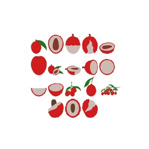 May include: A collection of lychee fruit illustrations in various states, including whole red fruits with green leaves, halved fruits showing white flesh and brown seeds, and small clusters on stems, all rendered in a flat, graphic, two-dimensional style.