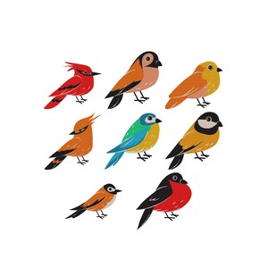 May include: A collection of eight stylized bird illustrations featuring various species in vibrant colors including red, orange, yellow, blue, and black. Each bird is depicted in a side profile view with distinct markings, beaks, and small feet.