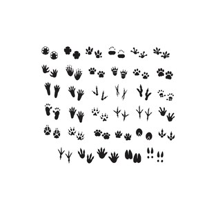 Animal footprints Embroidery, Paw Prints Embroidery, Claw marks Embroidery, Bird Tracks Embroidery Design, Machine Embroidery File, 9 Sizes