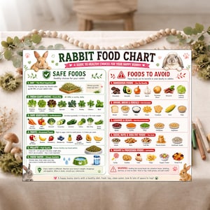 Può includere: Un grafico colorato sull'alimentazione dei conigli con illustrazioni di alimenti sicuri e non sicuri. Il grafico include sezioni su fieno, verdure a foglia verde, verdure, frutta, pellet e acqua, con un avvertimento sugli alimenti pericolosi. Il testo dice "Rabbit Food Chart".