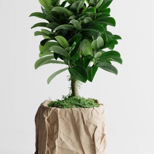 Vaso di fiori in carta stropicciata | Vaso per piante moderno con texture | Vaso per piante minimalista 3D | Decorazione Japandi | Oggetto decorativo scultoreo
