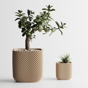 Double-ribbed rounded cube flower pot – Modern planter – Minimalist decorative vase – Elegant home decor gift idea