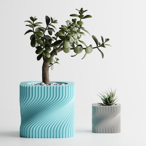 Peut inclure: Deux pots de fleurs décoratifs avec un motif ondulé. Le plus grand pot est bleu clair et contient un petit arbre aux feuilles vertes. Le plus petit pot est gris et contient une petite plante succulente.
