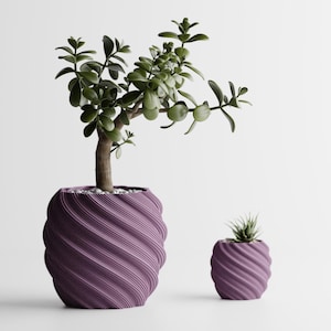 May include: Two purple, spiral-patterned planters, one large and one small, each holding a different plant. The larger planter contains a jade plant with green leaves and a brown trunk. The smaller planter has a small succulent.