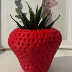 Erdbeer Blumentopf | Süßer Pflanztopf im Erdbeer-Design | Mini Blumentopf | Pflanzen Deko | Geschenkidee | Sukkulenten Topf | 3D Druck
