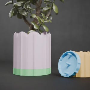 May include: A decorative, scalloped-edge planter in pastel pink with a green base, holding a small jade plant. Beside it, a blue lid and a yellow planter. The items are on a dark surface.