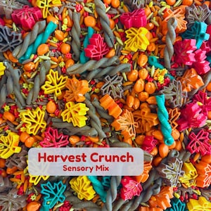 May include: A sensory mix featuring pasta shapes in the form of maple leaves and twisted spirals, coloured in red, yellow, orange, teal, and brown. A white rectangular label is centred with the red text Harvest Crunch Sensory Mix.