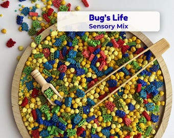 Bug Sensory Bin Filler, Insect Theme Sensory Mix for Toddlers, Fine Motor Play, Montessori Inspired Kids Activity, Tuff Tray, Preschool Gift