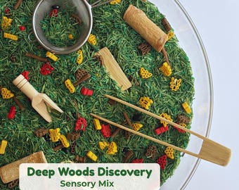 Forest Floor Sensory Bin Filler, Nature Study Mix for Kids, Bug Themed Sensory Filler, Fine Motor Activity, Montessori Toy, Preschool Gift