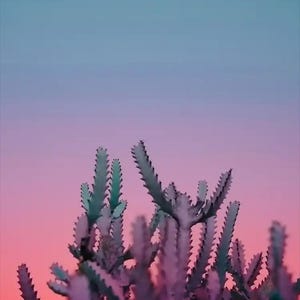 May include: A vibrant image of a cactus against a gradient sky. The cactus, with its spiky, segmented structure, is a mix of purple and green hues. The sky transitions from a soft pink to a light blue, creating a striking contrast.