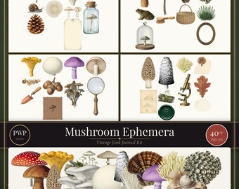 Kit de efímeros de setas / Imprimibles vintage para diario de setas / Elementos PNG recortados con precisión / Uso comercial / Descarga instantánea