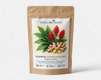 2x Shampoo Ginger Rhizomes, Zingiber zerumbet, Pine Cone Ginger Plant Awapuhi Lilikoi Fresh Root Cuttings for Planting Tropical Garden