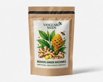 1 Rizoma de jengibre de colmena, Zingiber spectabil. Flor tropical exótica, fácil de cultivar, con un aroma increíble. Flores de color melocotón. ¡Cosechado fresco!