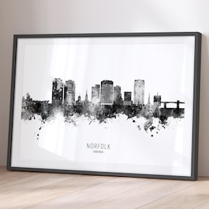 Norfolk Skyline Virginia, Cityscape Painting Art Print Poster BX (22108)