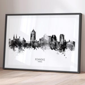Roanoke Skyline Virginia, Cityscape Painting Art Print Poster BX (22575)