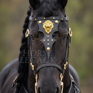 Op de afbeelding: Een zwart paard draagt een zwart lederen hoofdstel met goudkleurige metalen beslag. De frontriem is voorzien van een opvallend gouden leeuwenkopembleem en kleine gouden studs. Het paard heeft gevlochten manen en de tekst HORSE LEGACY is zichtbaar.