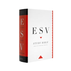 Może przedstawiać: Biała Biblia do studiowania ESV z czerwonymi akcentami. Grzbiet jest czerwony z literami E, S i V w kolorze białym. Okładka zawiera tekst "ESV STUDY BIBLE ENGLISH STANDARD VERSION" w kolorze czarnym.