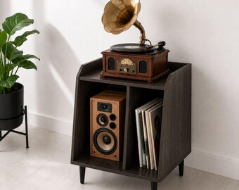 Record Player Stand,Vinyl Record Storage Holder with Plant Stand - Vintage Turntable Stand Table, Home Furnishings