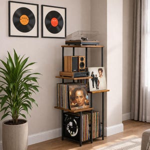 May include: A wooden and metal record storage unit with a turntable, speakers, and a collection of vinyl records. Two framed album covers hang on the wall. A potted plant is in the foreground.
