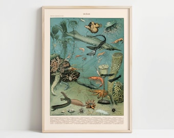 Antique French Marine Illustration | Deep Sea Creatures Lithograph Print (Digital Download)