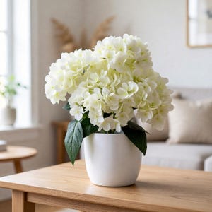 Può includere: Un bouquet di fiori di ortensia color crema con foglie verdi, disposto in un vaso di ceramica bianco, liscio e cilindrico. La pianta presenta molteplici grappoli di piccoli petali delicati che formano teste dense e arrotondate.