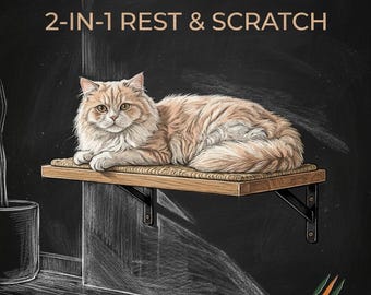 Cat Wall Shelf, 2-in-1 Wall Mounted Cat Shelves, Rest & Scratch Cat Wall Furniture, Sisal Cat Scratcher, Cat Shelf for Indoor Cats