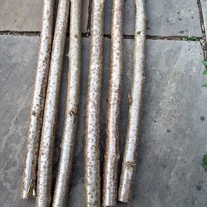 May include: Six straight, cylindrical wooden sticks arranged vertically side by side. Each stick features a light brown, textured bark surface with subtle mottled patterns and natural variations in colour, showing a consistent thickness throughout.