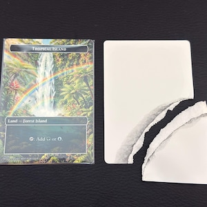 May include: A Magic: The Gathering card featuring a tropical island scene with a waterfall and rainbow. The card is in a protective sleeve next to a torn white card, suggesting a reveal or damaged card.