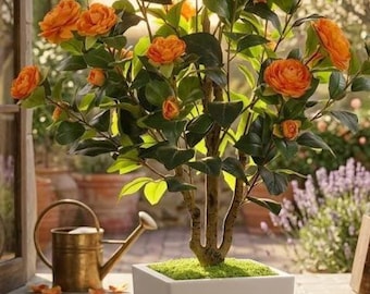 Camélia artificiel orange de 1,2 m (4 pi) - Grand pot de fleurs moderne blanc