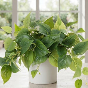 May include: A lush artificial philodendron plant with heart-shaped leaves in varying shades of vibrant green and light lime, cascading over the sides of a simple, smooth, matte white cylindrical ceramic pot, creating a dense and full appearance.