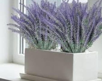 Lot de 4 fausses plantes suspendues | Vigne d'eucalyptus résistant aux UV, chapelet de perles décoration d'intérieur