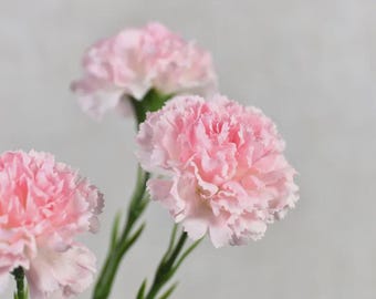 illets artificiels rose clair | Bouquet de 20 tiges en soie | Décoration de mariage