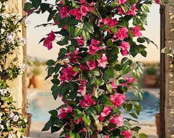 Bougainvillier artificiel de 1,50 m (5 pi) - Plante florale artificielle en soie rose