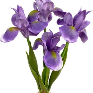 May include: A bouquet of artificial iris flowers in shades of purple, with green stems and leaves. The petals have a delicate texture and a touch of yellow at the base. The flowers are held in a hand against a white background.