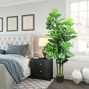 May include: A bedroom scene featuring a large, artificial fiddle-leaf fig tree with vibrant green leaves. The tree is in a black pot. A black nightstand with gold knobs, a lamp, and a tufted headboard are also visible. Decorative framed art hangs on the wall.
