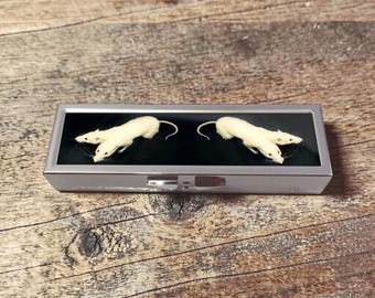 Two Headed Rat Pill Box Case Weekly Pill Organizer Pill Organizer 7 Day, Pill Holder, Travel Size