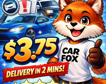 VEHICLE HISTORY REPORT  (cheapest and quickest one on Etsy)