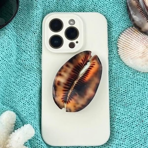 May include: A white phone case with a seashell design. The case features a brown and orange seashell accent. Sunglasses and seashells are also visible on a turquoise background.