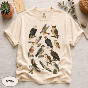 May include: An ivory short-sleeve t-shirt featuring a detailed graphic print of various birds of prey, including eagles, owls, hawks, and falcons in natural colors. The shirt has a crew neckline and a Comfort Colors brand label at the inner collar.