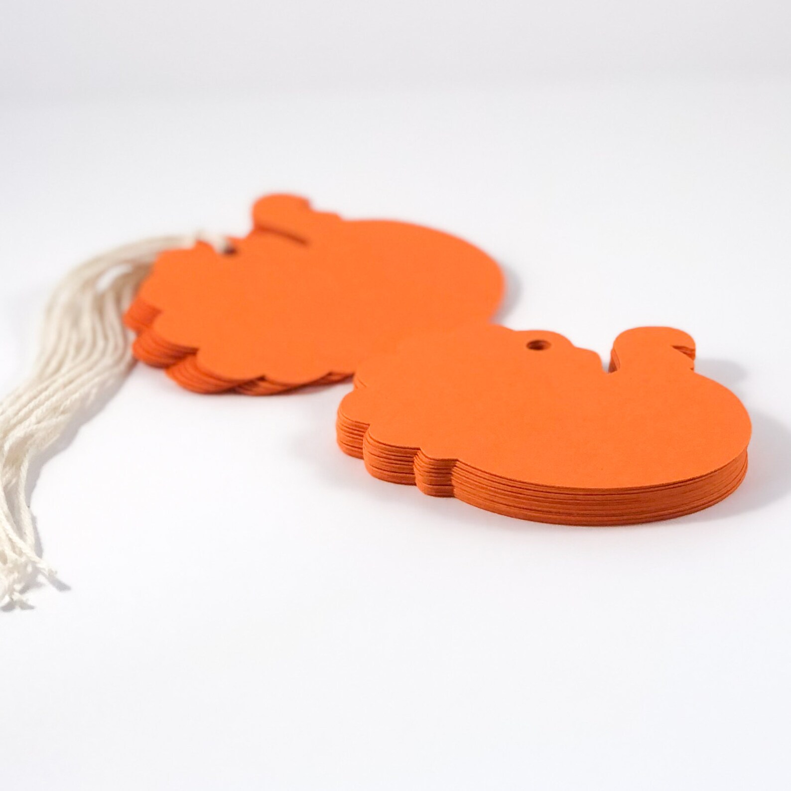 Blank Turkey Tags Thanksgiving Tags Turkey Favor Tags Etsy